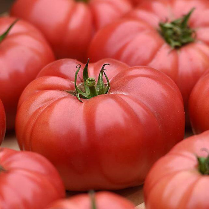 Delicious Tomato Seeds - Vegetable Plant