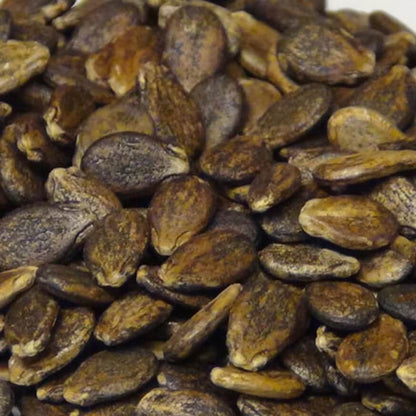 Densuke Watermelon Seeds