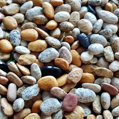 Desert Tepary Beans Seeds