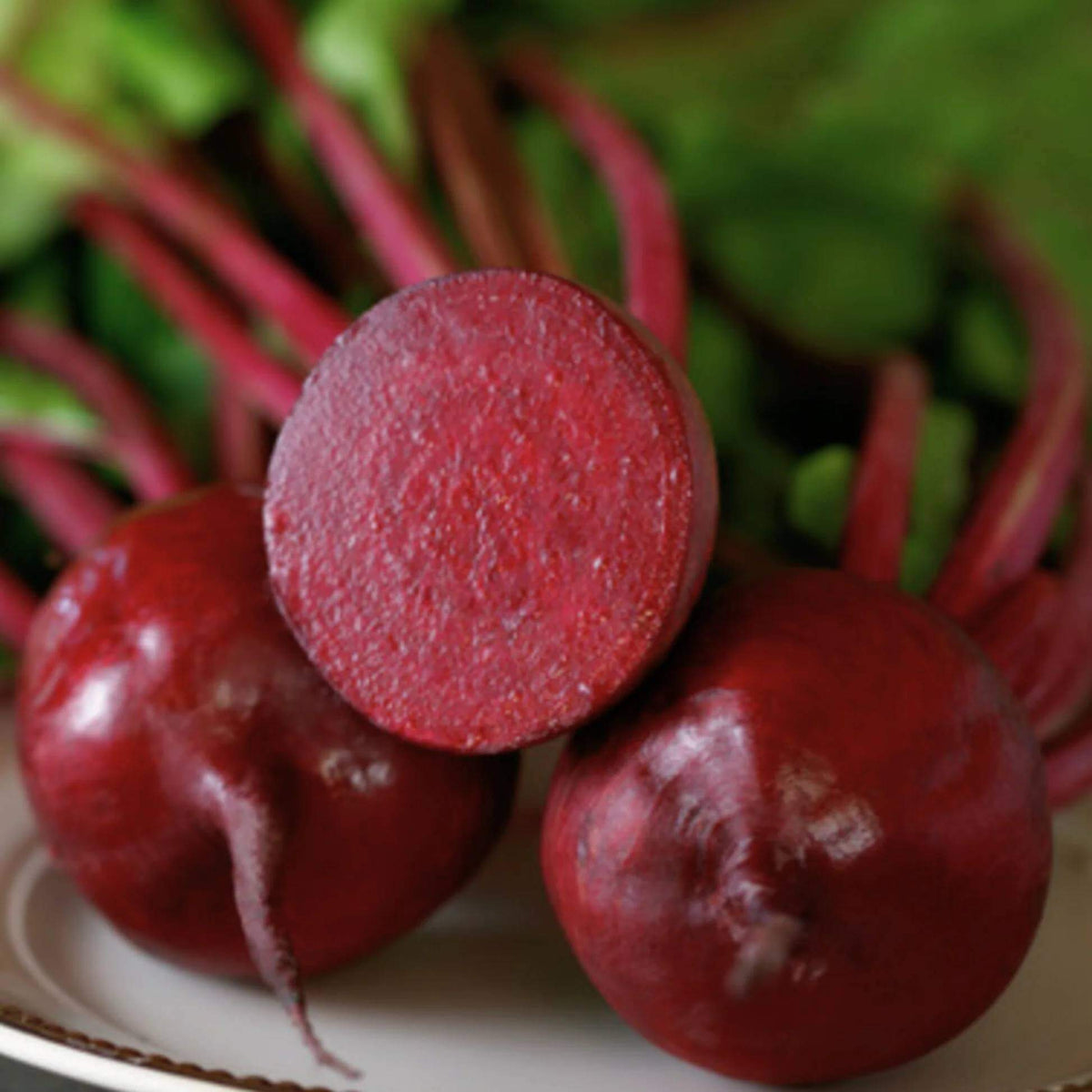 Detroit Supreme Beet Seeds 
