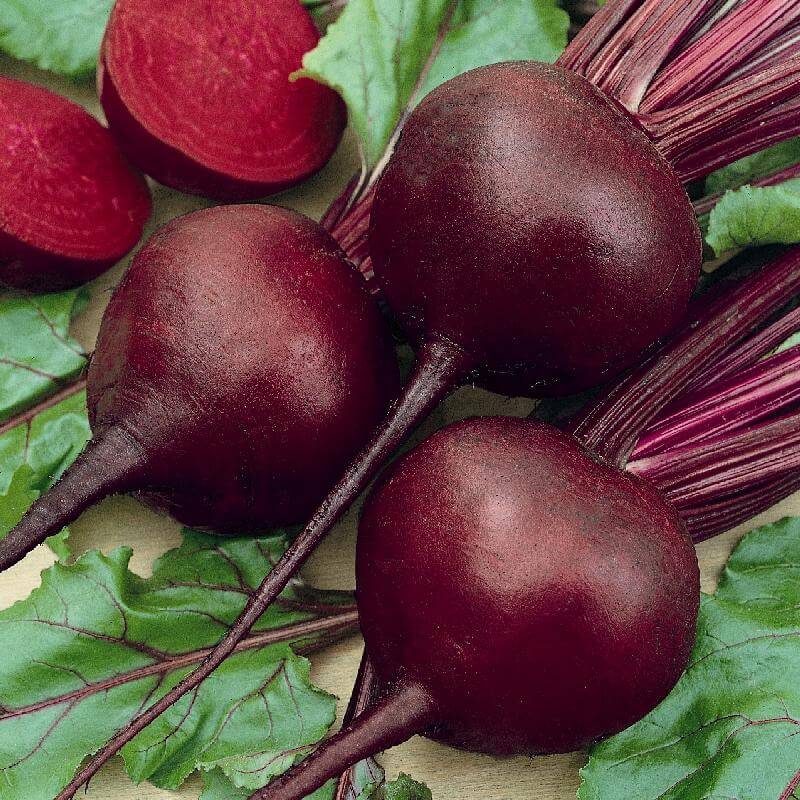 Detroit dark red beet seeds - Vegetable Plant