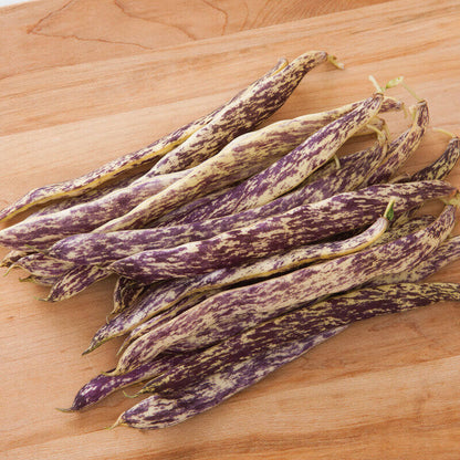 Dragon Tongue Bean Seeds - Vegetable Plant
