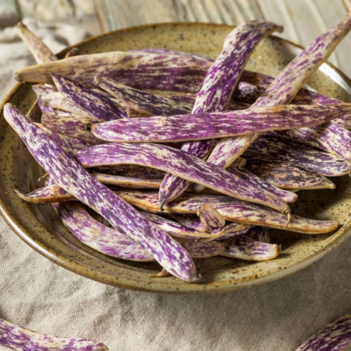 Dragon Tongue Bean Seeds - Vegetable Plant