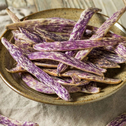 Dragon Tongue Bean Seeds - Vegetable Plant