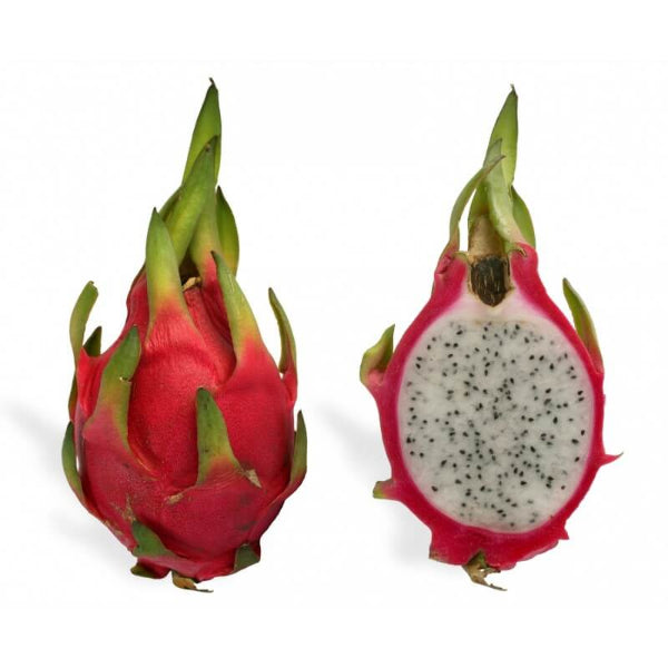 Dragon fruit seeds - Fruit Plant