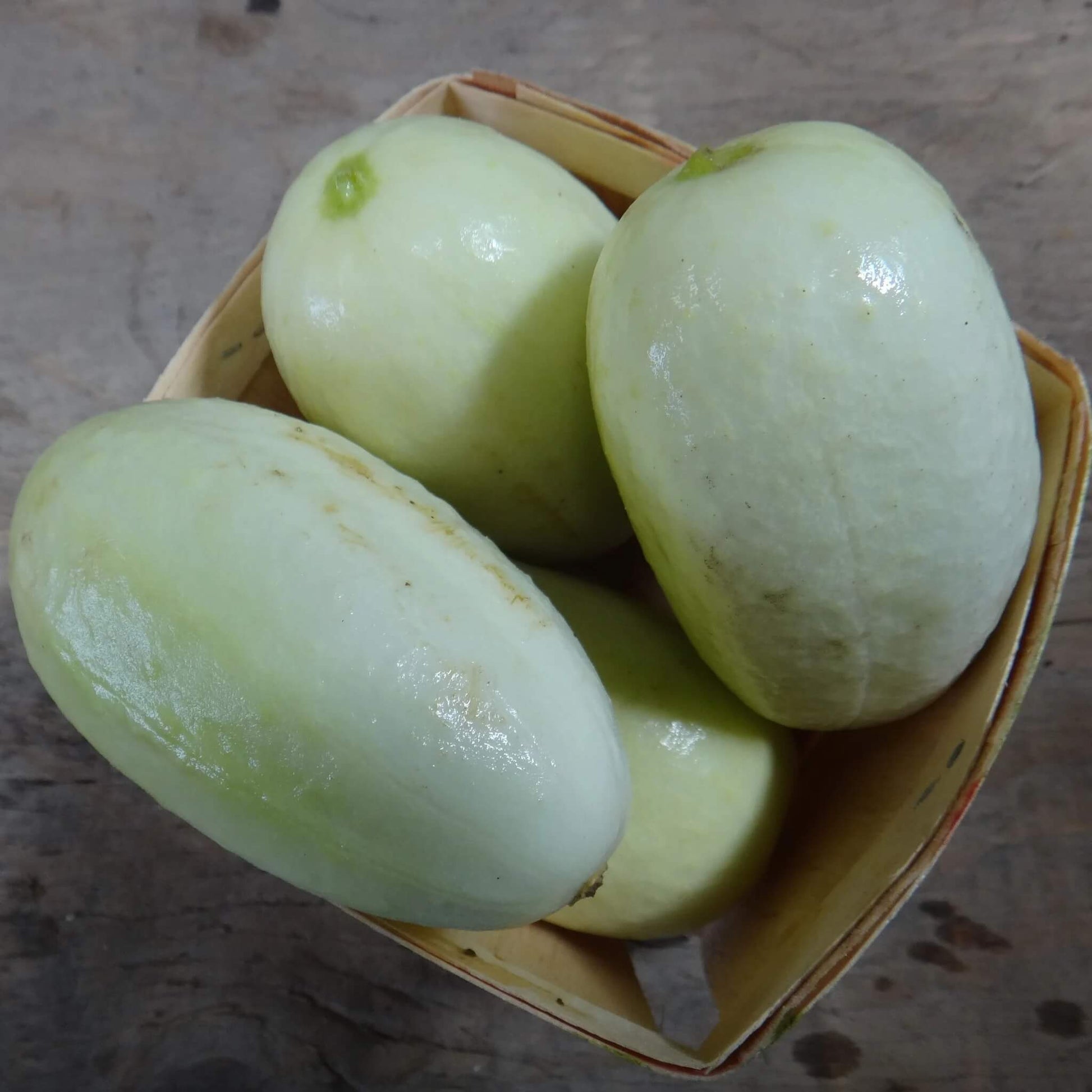 Dragon's egg cucumber seeds - Vegetable Plant