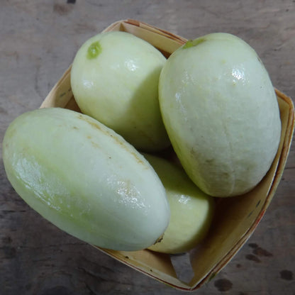 Dragon's egg cucumber seeds - Vegetable Plant