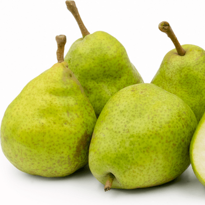 Duchess Pear Seeds