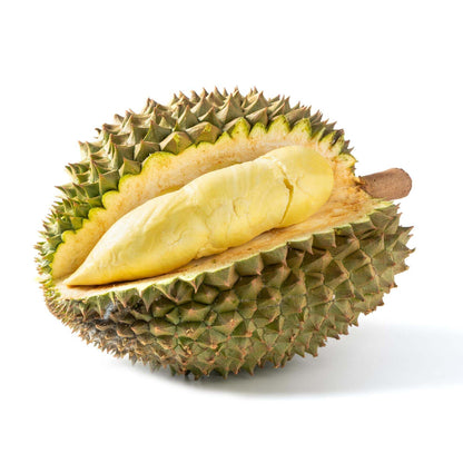 Durian Monthong Seeds 