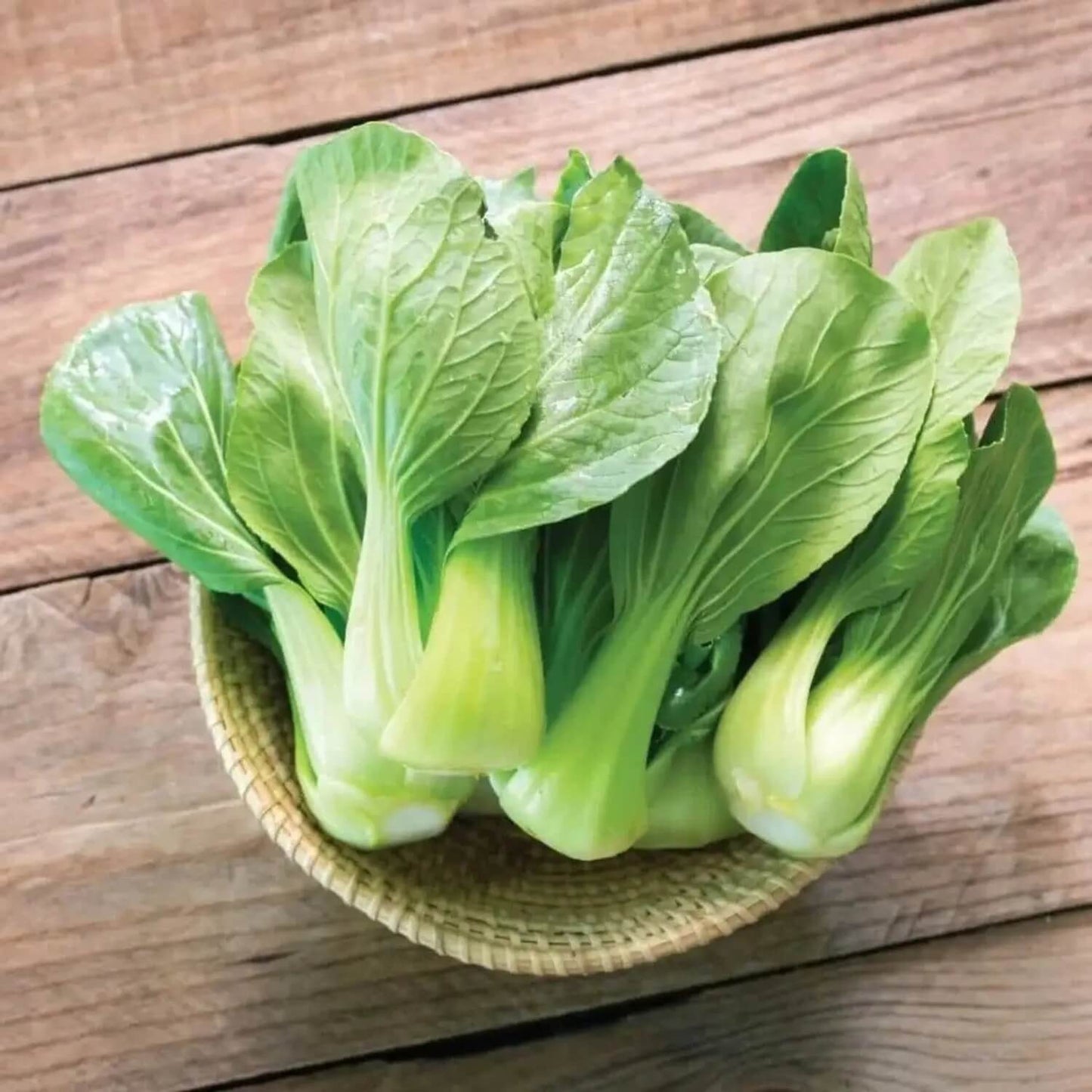 Dwarf Bok Choy Seeds - Vegetable Plant