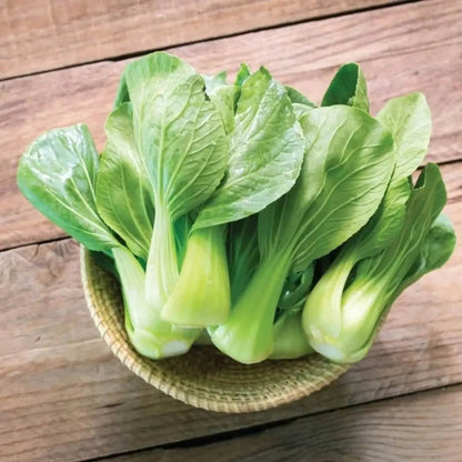 Dwarf Bok Choy Seeds - Vegetable Plant