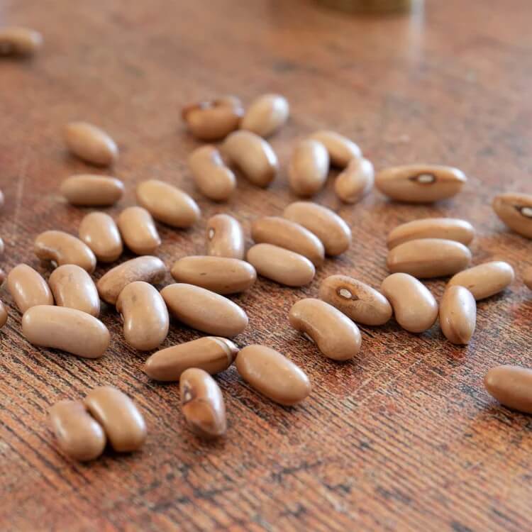 Dwarf French Beans