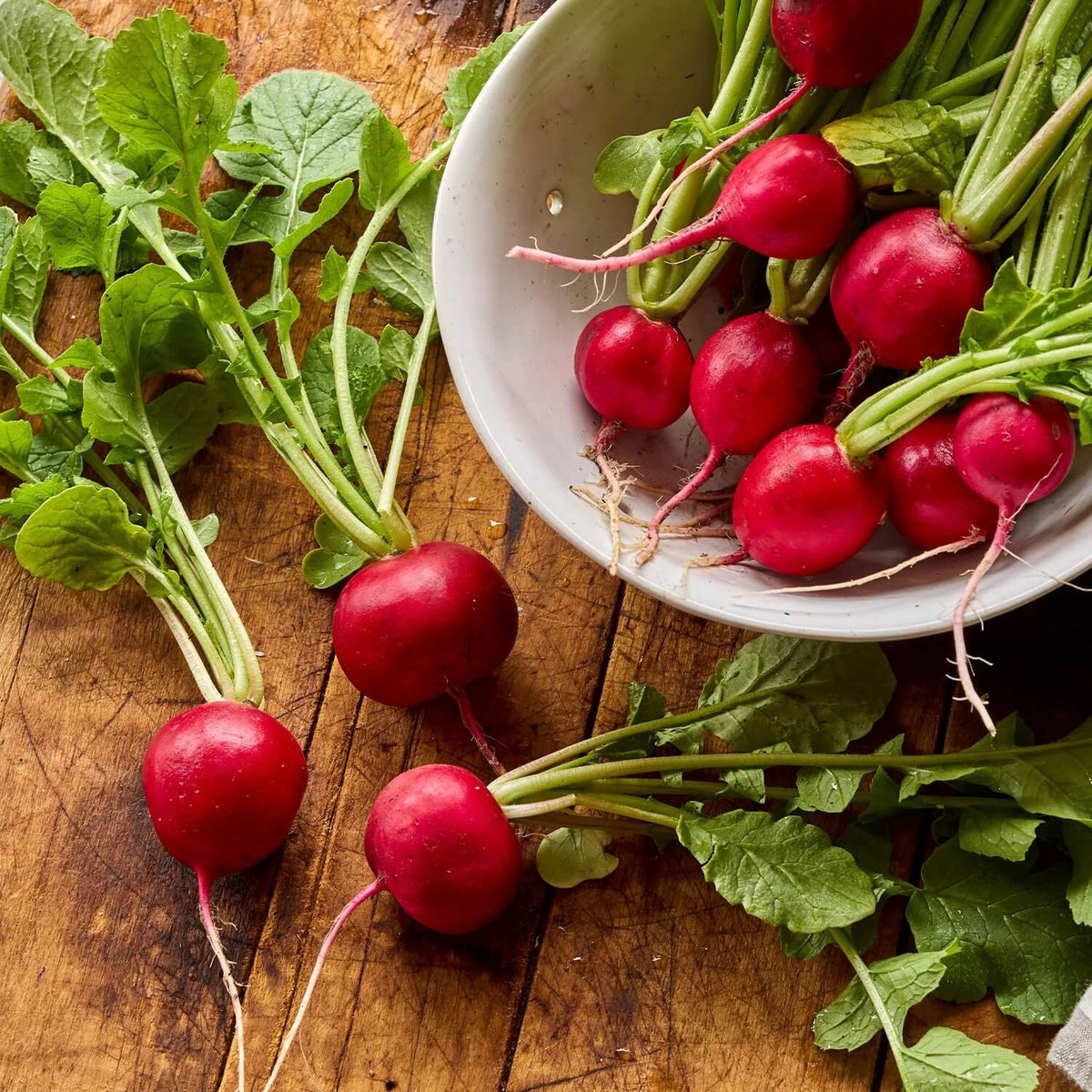 Early Scarlet Globe Radish Seeds 
