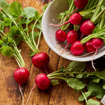 Early Scarlet Globe Radish Seeds 