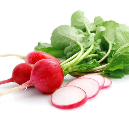 Early Scarlet Globe Radish Seeds 