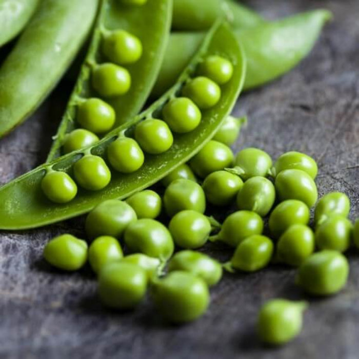 Early frosty pea seeds - Vegetable Plant