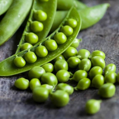 Early frosty pea seeds - Vegetable Plant