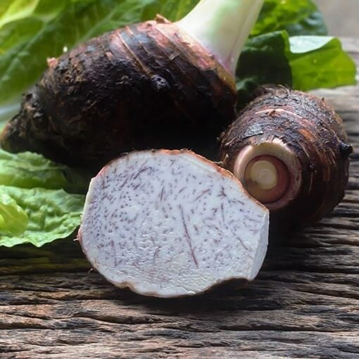 Eddoe Taro Seeds