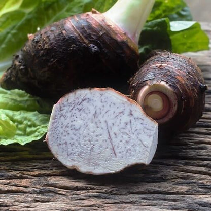 Eddoe Taro Seeds