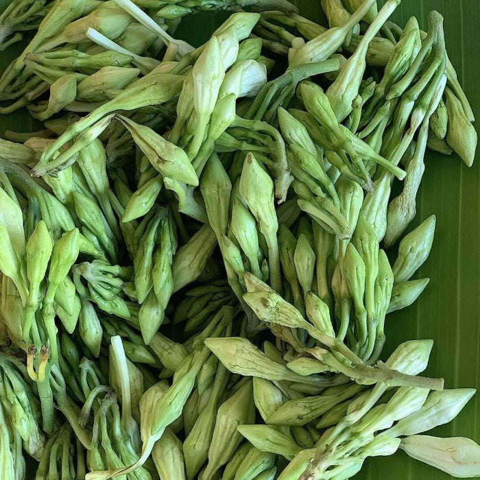 Edible Loroco Seeds