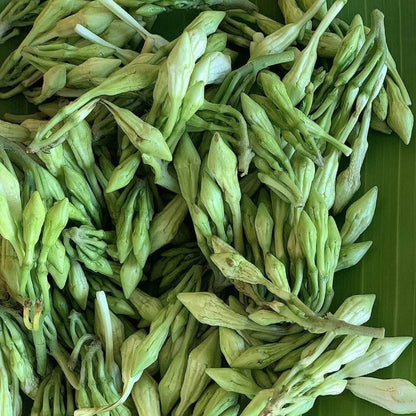 Edible Loroco Seeds