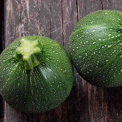 Eight ball squash seeds - Vegetable Plant