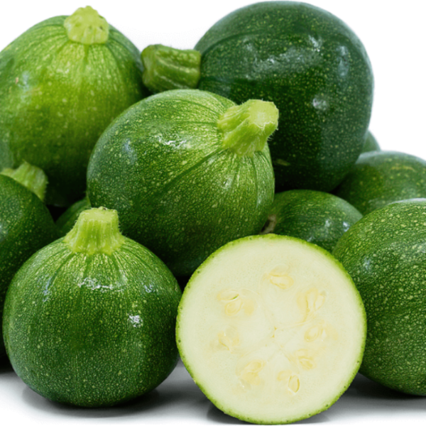 Eight ball zucchini seeds - Vegetable Plant
