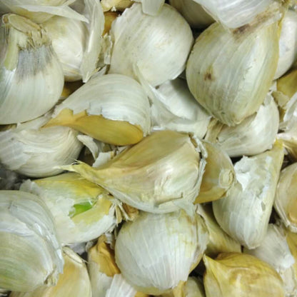 Elephant Garlic Seeds - Vegetable Plant