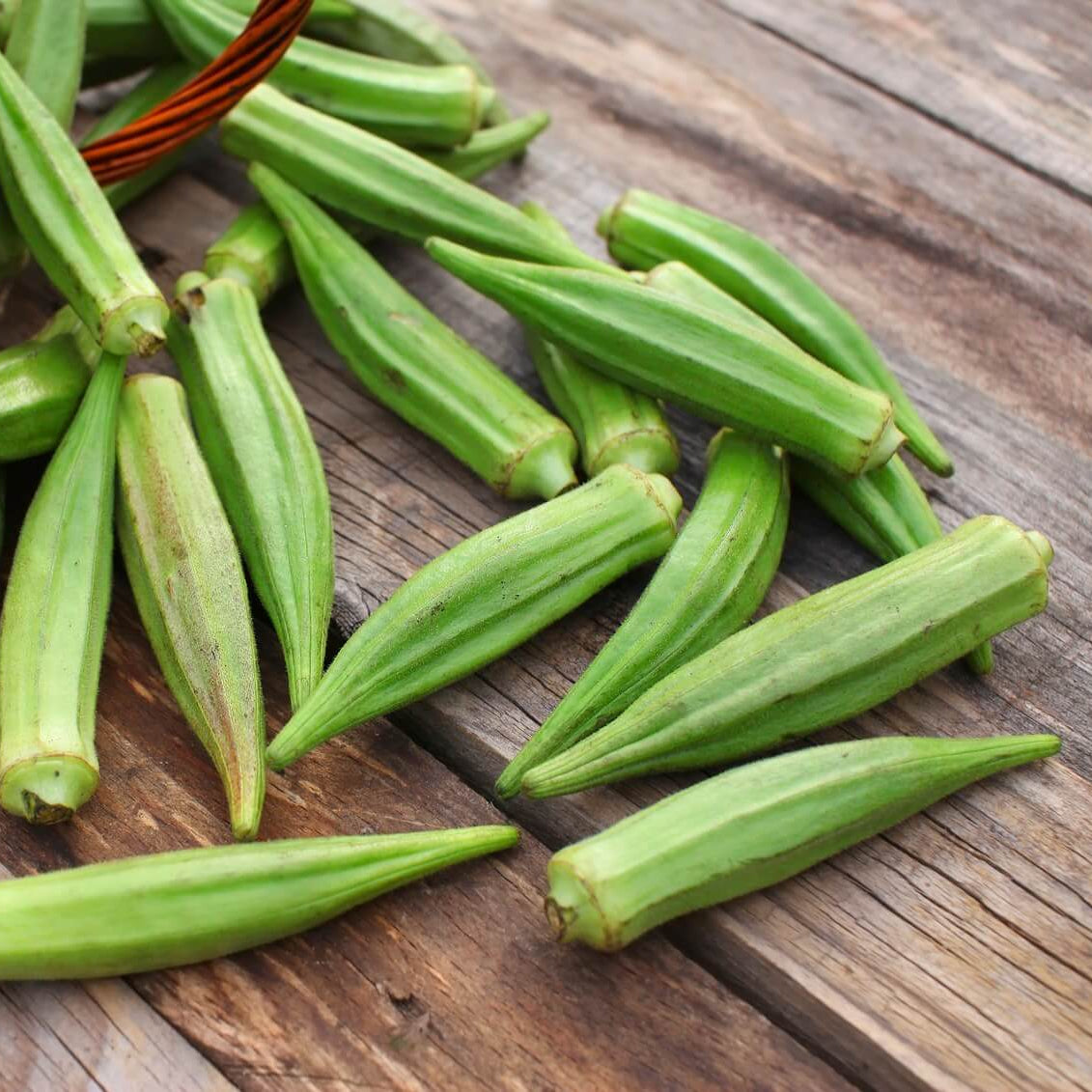 Emerald Okra Seeds