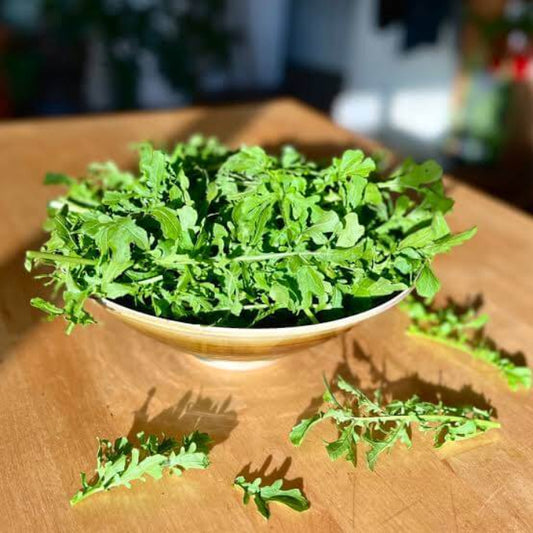 Esmee Arugula Seeds - Heirloom Vegetable Plant for Home Gardens
