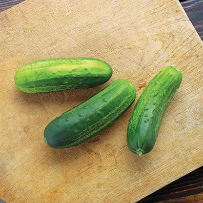 Eureka cucumber seeds - Vegetable Plant