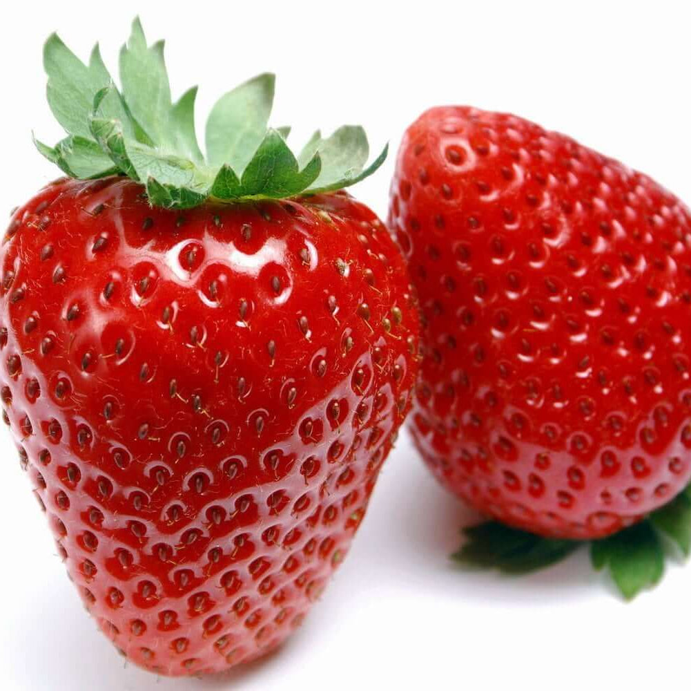 Eversweet Everbearing Strawberry Seeds