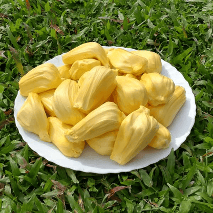 Eviarc Jackfruit Seeds