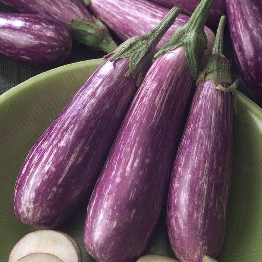 Fairy tale eggplant seeds - Vegetable Plant
