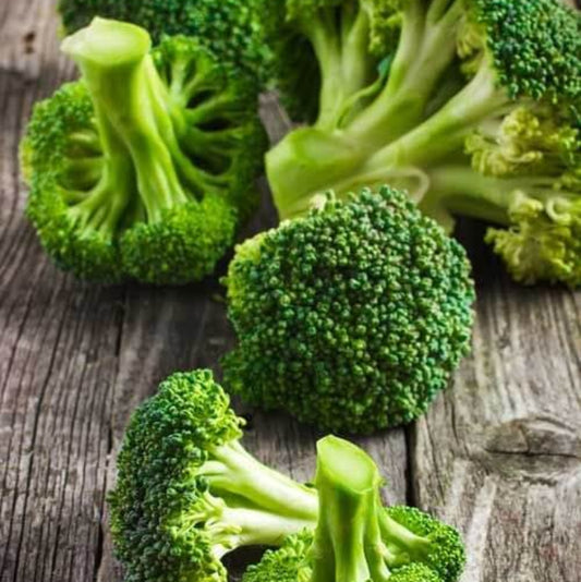 Fiesta Broccoli Seeds - Heirloom Vegetable Plant for Home Gardens