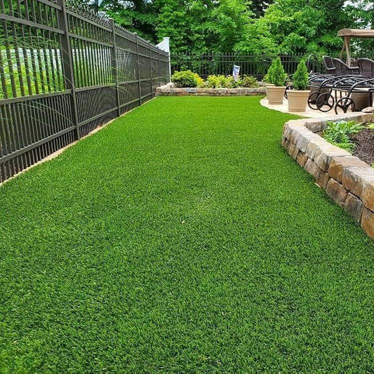 Fine Fescue Seeds - Ornamental Grass Seeds for Home Gardens