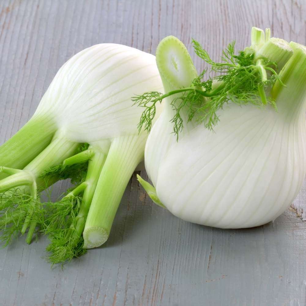 Florence fennel seeds - Vegetable Plant