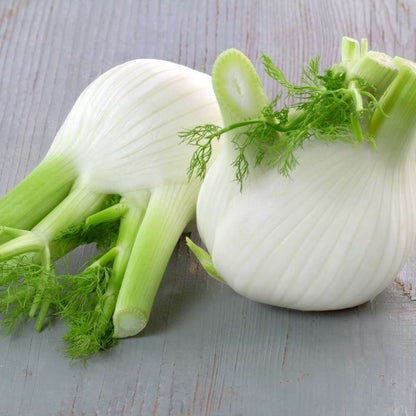 Florence fennel seeds - Vegetable Plant