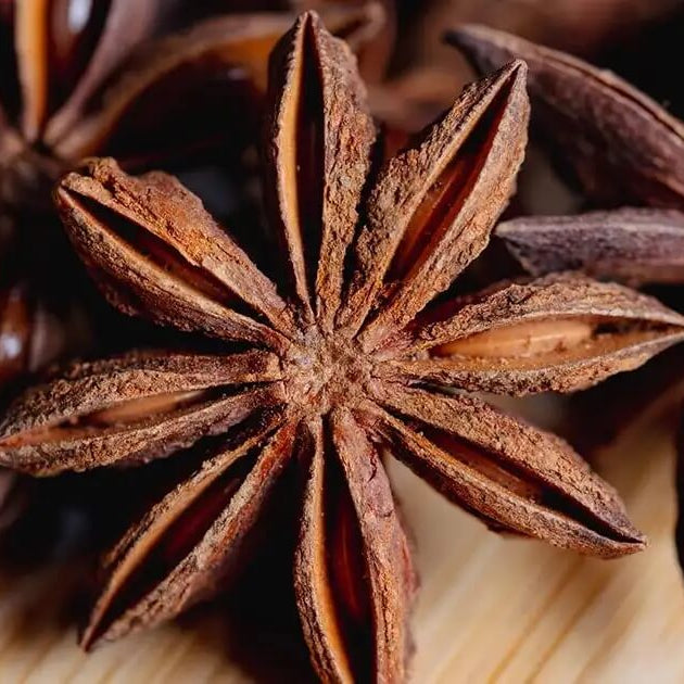 Flowering Variety Star Anise Seeds 