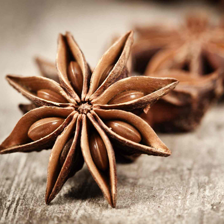 Flowering Variety Star Anise Seeds 