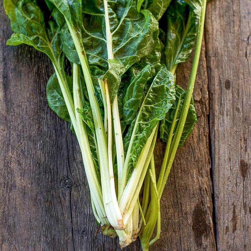 Fordhook giant swiss chard seeds - Vegetable Plant