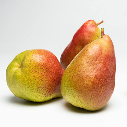 Forelle Pear Seeds 