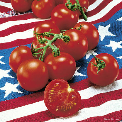 Fourth Of July Tomato Seeds - Vegetable Plant