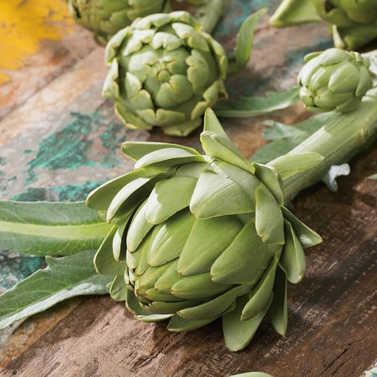 French Artichoke Seeds