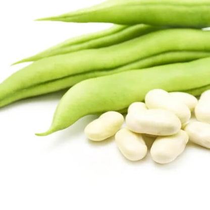 French Bean Seeds