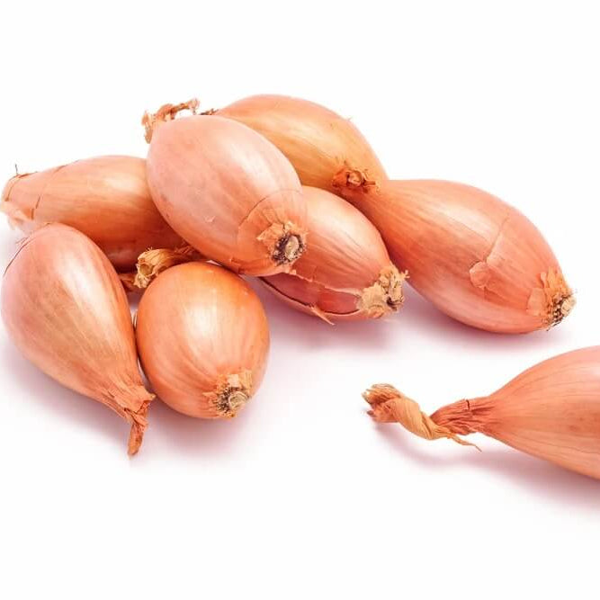 French Shallot Seeds