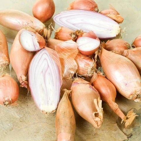 French Shallot Seeds