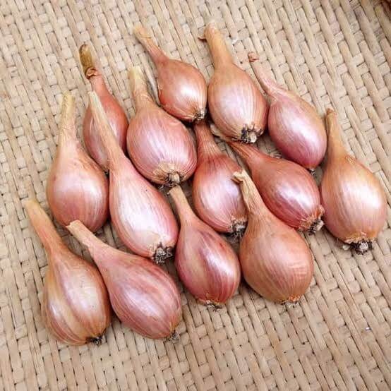 French Shallot Seeds
