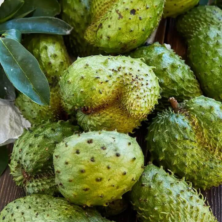 Fresh Green Soursop Seeds