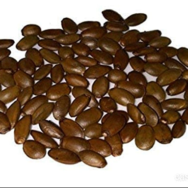 Fresh Green Soursop Seeds